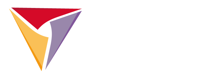 Logo Vlis