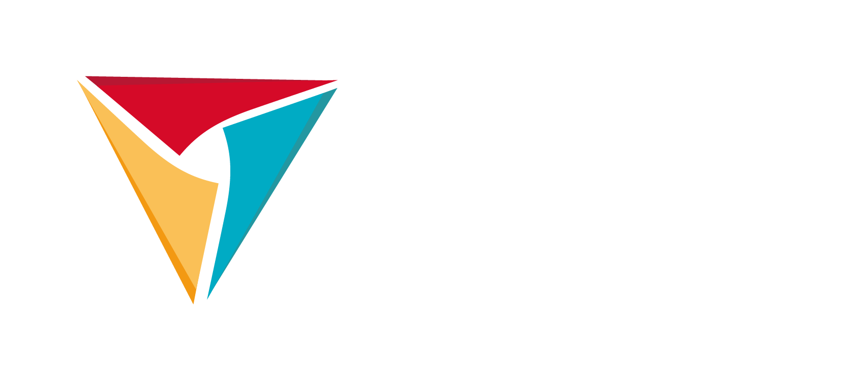 Logo Vlis